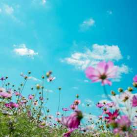 Horoscope samedi 1er novembre 2025 pour chaque signe astrologique aujourd’hui