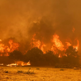 Incendies en Espagne : 343 000 hectares détruits, un triste record historique