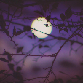 Pleine lune du 5 décembre : pourquoi elle sera très bénéfique à ces 3 signes