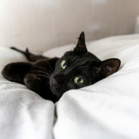 Les superstitions les plus étonnantes autour du vendredi 13