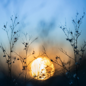 Blue Monday : 5 astuces pour transformer la journée la plus déprimante de l’année en un moment positif