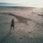 Courir plus lentement pour progresser : le secret (pas si...