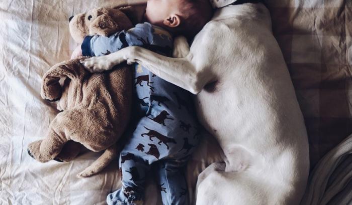 Ce bébé de 8 mois et cette chienne adorent faire la sieste ensemble... et ils sont trop mignons ! | #3