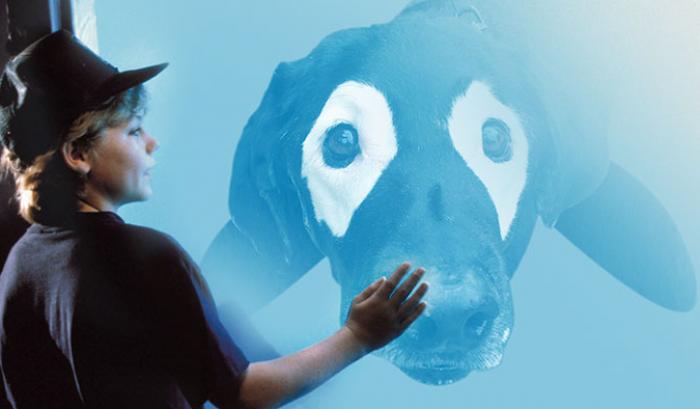 Ce labrador noir atteint de vitiligo devient peu à peu blanc, regardez comment les internautes répondent ! | #8
