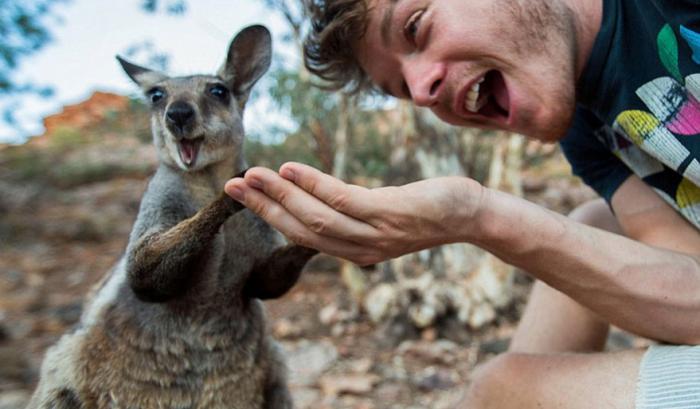 L'homme qui prenait des selfies géniaux avec des animaux | #11