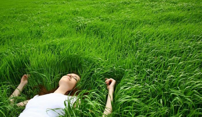 8 raisons pour lesquelles les vacances sont nécessaires, et pas juste "un luxe" | #8