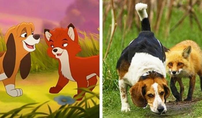 14 animaux qui sont les copies conformes de nos personnages de dessins animés préférés | #6