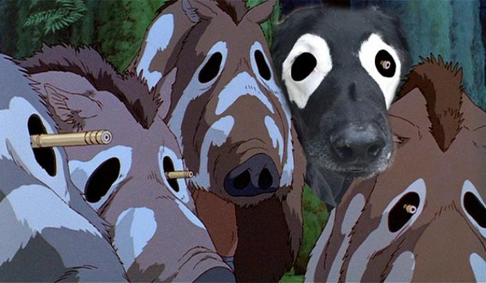 Ce labrador noir atteint de vitiligo devient peu à peu blanc, regardez comment les internautes répondent ! | #9