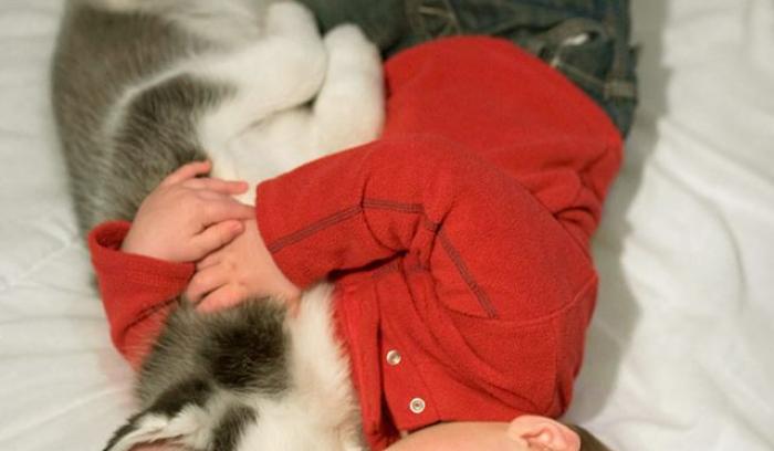 14 photos craquantes qui montrent que les chiens sont plus confortables que des oreillers | #2