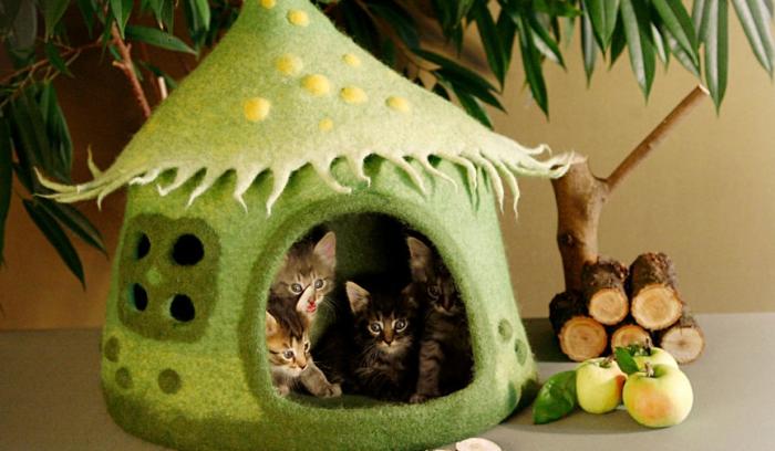 Elle crée des maisons pour chat pleines de couleur vraiment adorables