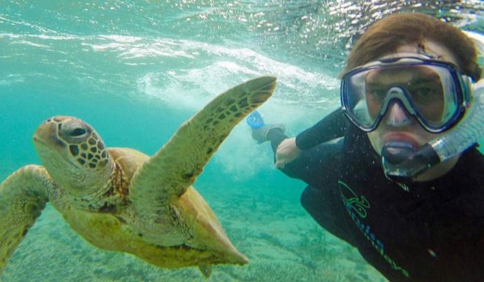 L'homme qui prenait des selfies géniaux avec des animaux | #8