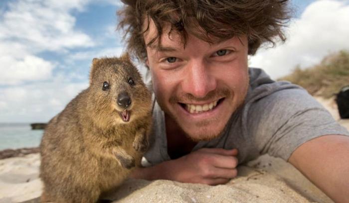 L'homme qui prenait des selfies géniaux avec des animaux