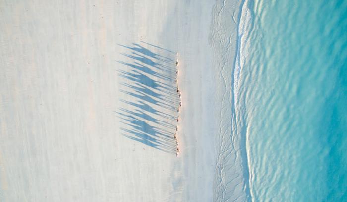 Les 15 plus belles photos prises depuis un drone | #3