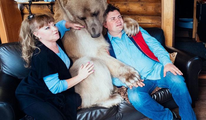 Un couple russe a adopté un ours orphelin il y a 23 ans, et ils vivent toujours tous ensemble ! | #6