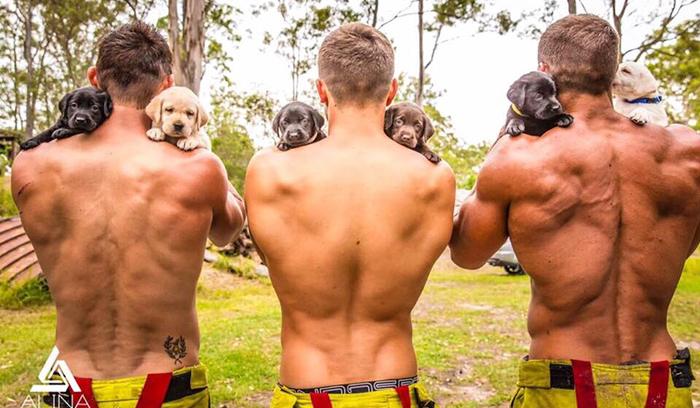 Des pompiers sexy posent avec des chiots dans un calendrier caritatif pour les aider à trouver une famille | #2