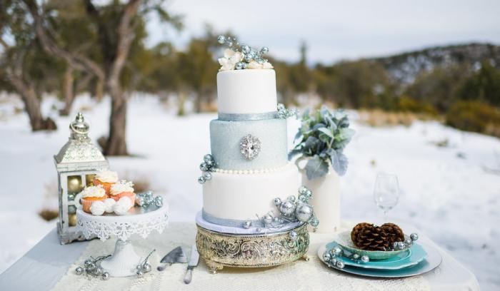 Un mariage sur le thème de La Reine des Neiges | #13