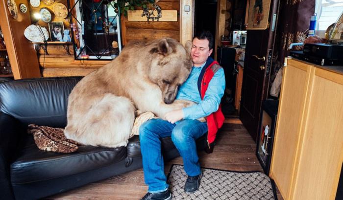 Un couple russe a adopté un ours orphelin il y a 23 ans, et ils vivent toujours tous ensemble ! | #7