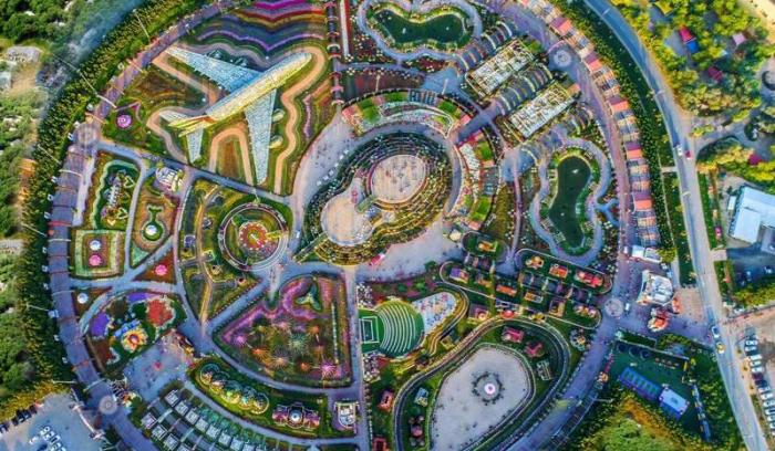 Découvrez le Dubaï Miracle Garden, le plus grand jardin de fleurs du monde ! | #5