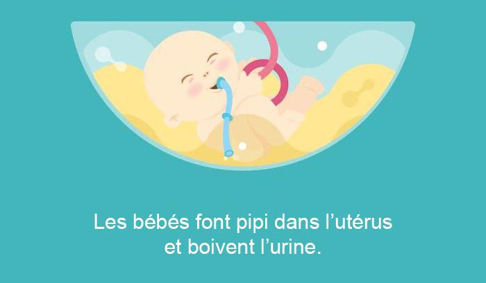 12 choses étonnantes que vous ne saviez sûrement pas sur la grossesse | #8