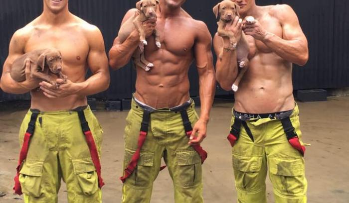 Des pompiers sexy posent avec des chiots dans un calendrier caritatif pour les aider à trouver une famille | #13