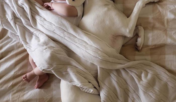 Ce bébé de 8 mois et cette chienne adorent faire la sieste ensemble... et ils sont trop mignons ! | #5