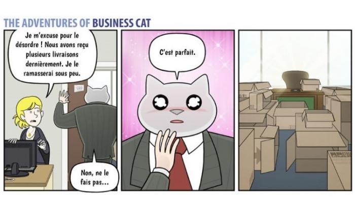Voilà à quoi ressemblerait votre patron s’il était un chat (petit indice : c'est très drôle !)