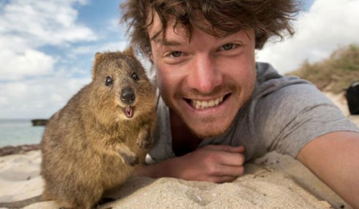 L'homme qui prenait des selfies géniaux avec des animaux | #14