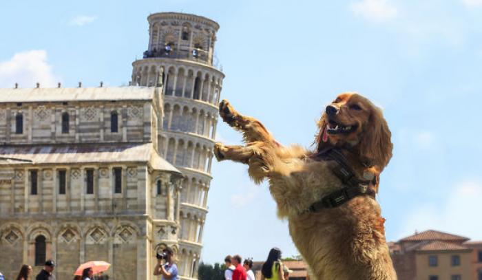 Les 13 meilleures photos de touristes qui posent devant la Tour de Pise | #4