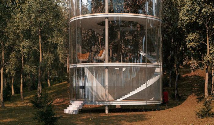 Une incroyable maison de verre cylindrique construite autour d'un arbre | #4