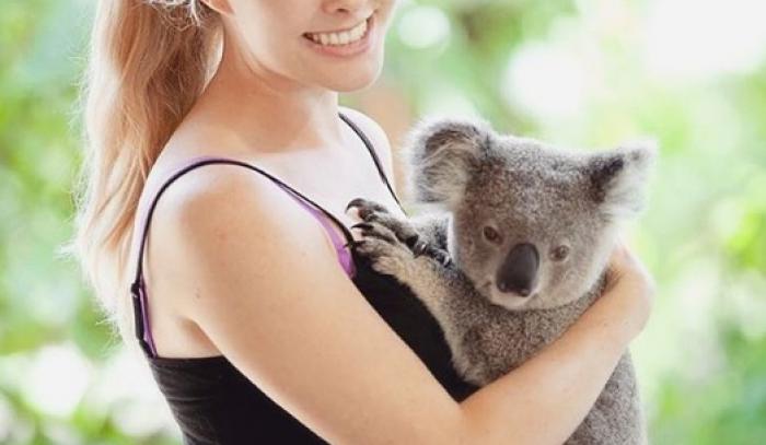 Impossible de ne pas fondre devant cette vidéo de koala serein qui reçoit des câlins ! | #3