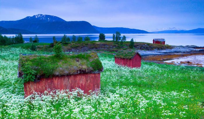 15 maisons scandinaves avec un toit végétal qui semblent tout droit sorties d'un conte de fées | #11