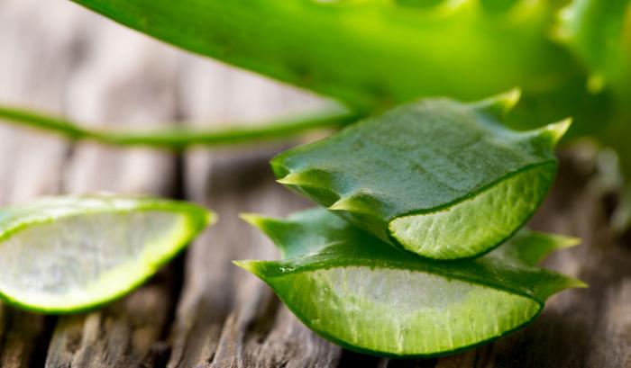 10 recettes beauté express à base d'aloe vera | #9