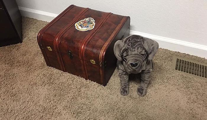 Ces parents ont créé une chambre d'enfant Harry Potter pour leur petit sorcier | #15