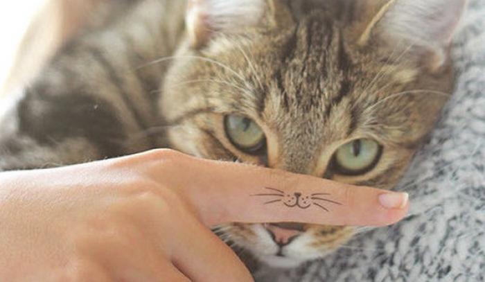 Les 18 meilleures idées de tatouages chat | #9