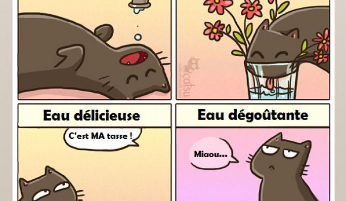 14 illustrations rigolotes qui résument parfaitement la vie avec un chat | #3