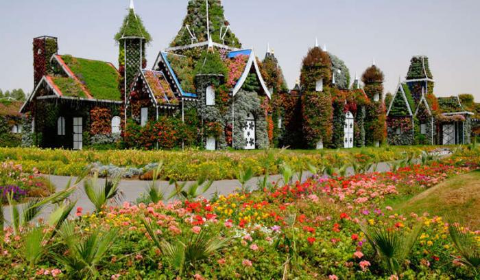 Découvrez le Dubaï Miracle Garden, le plus grand jardin de fleurs du monde ! | #4