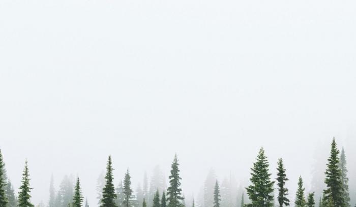 20 photos parfaites qui plairont à tous les minimalistes | #15