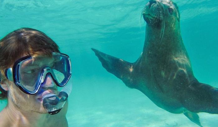 L'homme qui prenait des selfies géniaux avec des animaux | #10