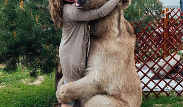 Un couple russe a adopté un ours orphelin il y a 23 ans, et ils vivent toujours tous ensemble ! | #3