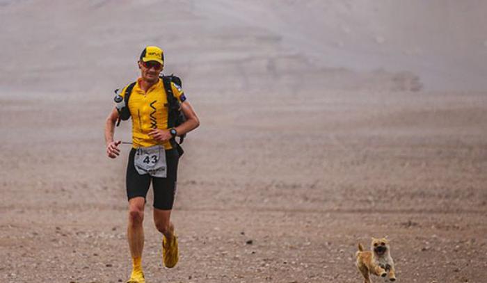 Un petit chien errant rejoint ce marathonien, court 100km avec lui et finit la course avec son nouveau maître ! | #2