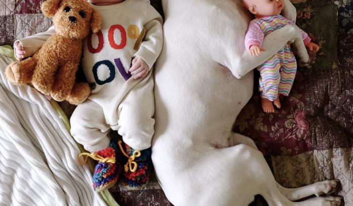 Ce bébé de 8 mois et cette chienne adorent faire la sieste ensemble... et ils sont trop mignons ! | #11