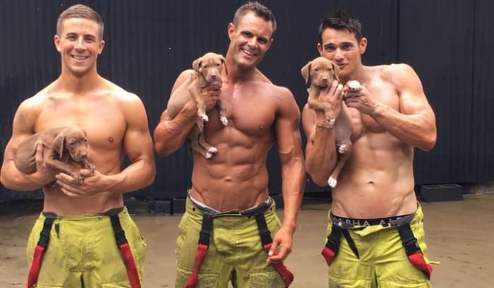 Des pompiers sexy posent avec des chiots dans un calendrier caritatif pour les aider à trouver une famille