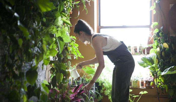 Cette jeune femme a planté plus de 500 plantes dans son appartement new-yorkais et l'a transformé en vrai jungle d'intérieur