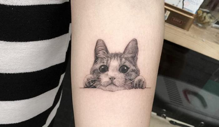 Les 18 meilleures idées de tatouages chat | #6