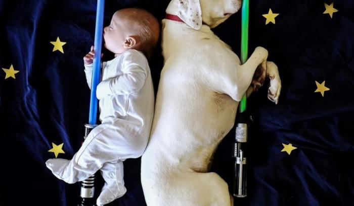 Ce bébé de 8 mois et cette chienne adorent faire la sieste ensemble... et ils sont trop mignons ! | #10