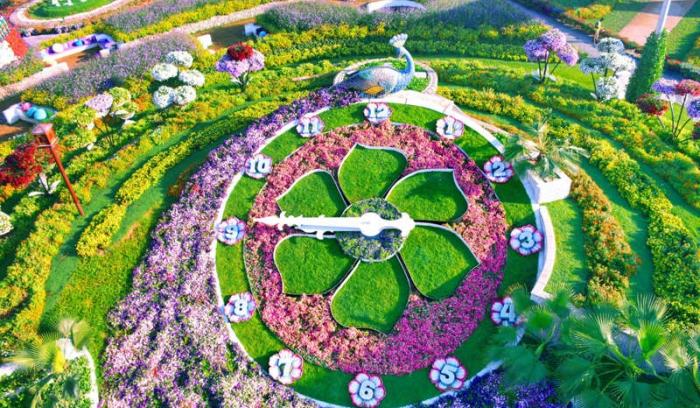 Découvrez le Dubaï Miracle Garden, le plus grand jardin de fleurs du monde !