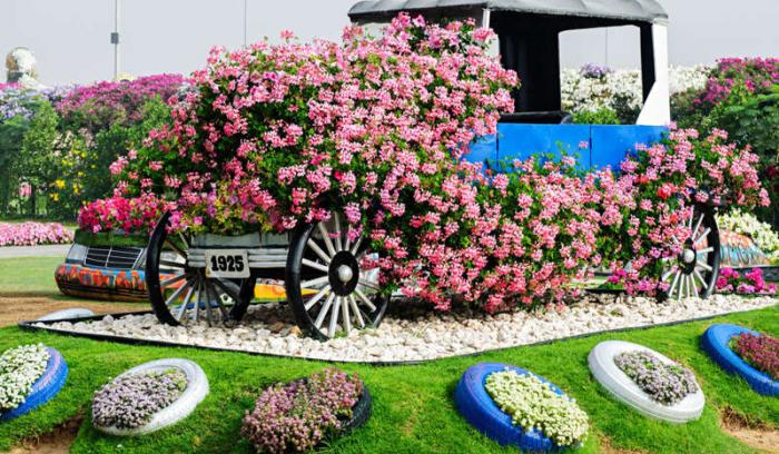 Découvrez le Dubaï Miracle Garden, le plus grand jardin de fleurs du monde ! | #3