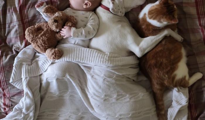 Ce bébé de 8 mois et cette chienne adorent faire la sieste ensemble... et ils sont trop mignons ! | #9