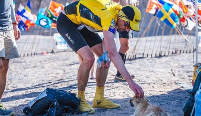 Un petit chien errant rejoint ce marathonien, court 100km avec lui et finit la course avec son nouveau maître ! | #8