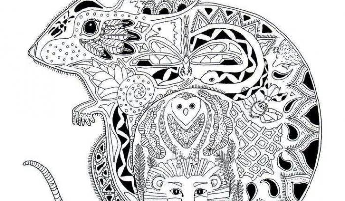 21 coloriages pour adultes à imprimer gratuitement | #13